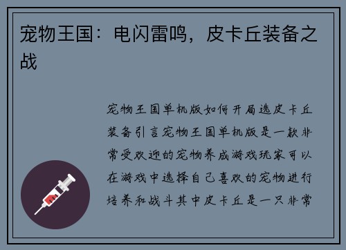 宠物王国：电闪雷鸣，皮卡丘装备之战